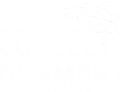 School of Smart